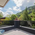 Panorama - Steinbock Apartment Zell am See