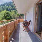 Panorama - Steinbock *