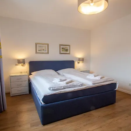 Panorama - Steinbock *