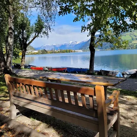 Panorama - Steinbock * Zell am See
